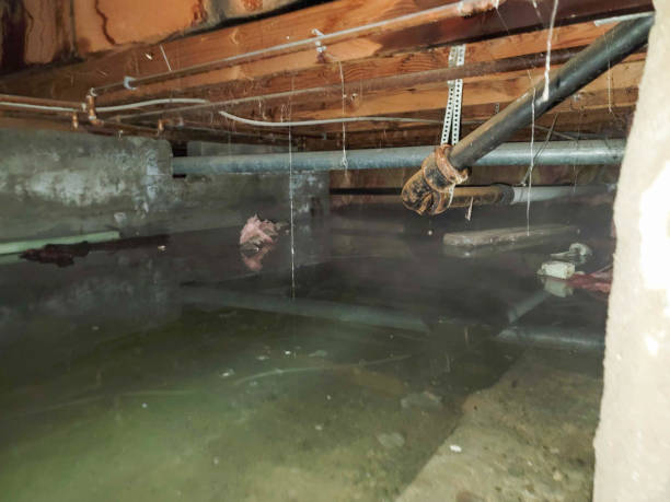 Best Water damage restoration near me  in Rossville, KS