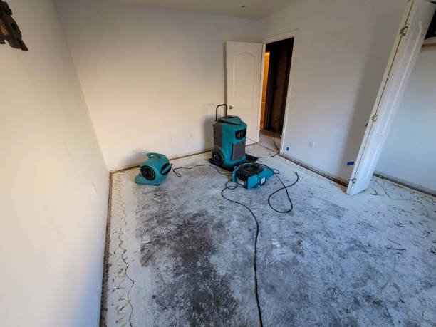 Best Water damage cleanup near me  in Rossville, KS