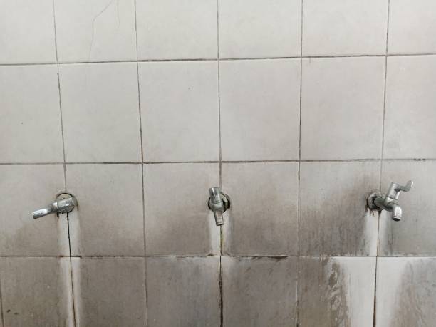 Best 24/7 water damage repair  in Rossville, KS