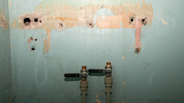 Best Mold removal after water damage  in Rossville, KS