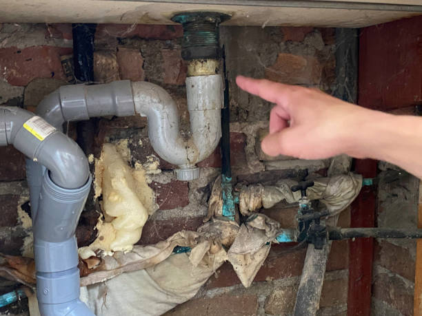 Best Professional water damage repair  in Rossville, KS